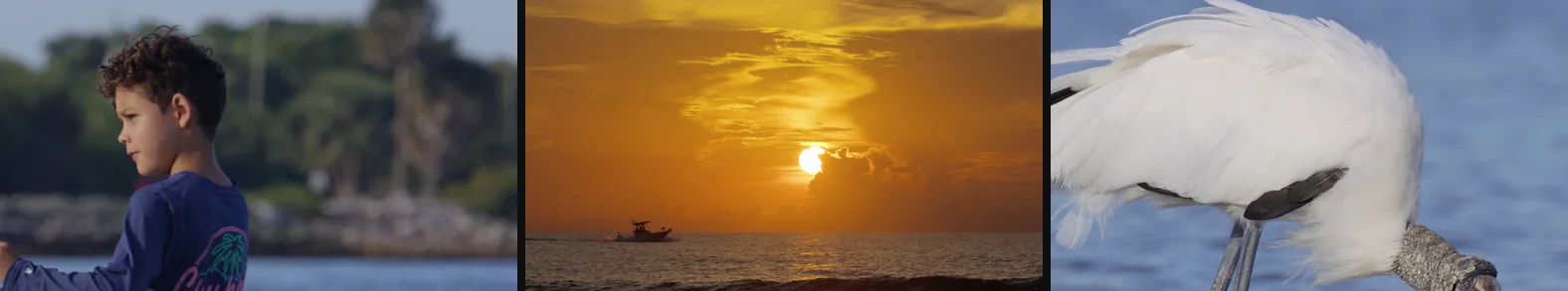 Three scenes through the Base look: a face, a sunrise and a white bird.