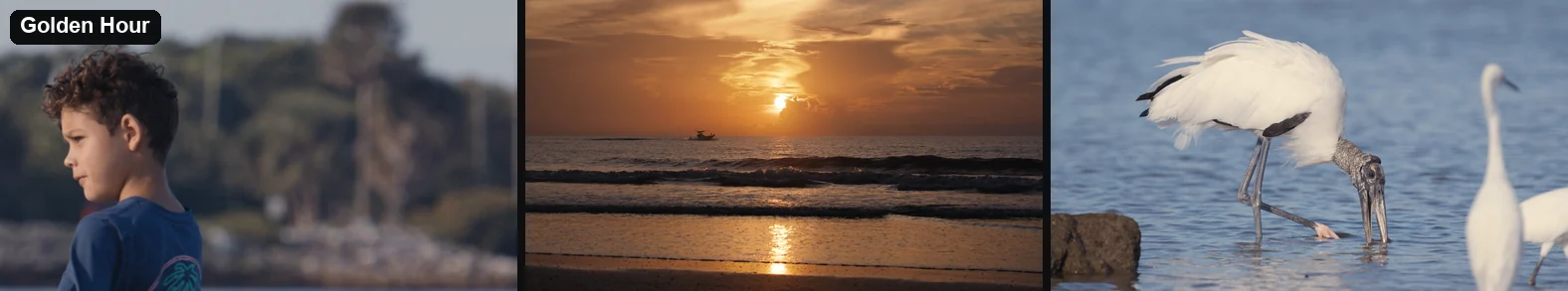The same three scenes through the Golden Hour look, warm golden light with calm color.