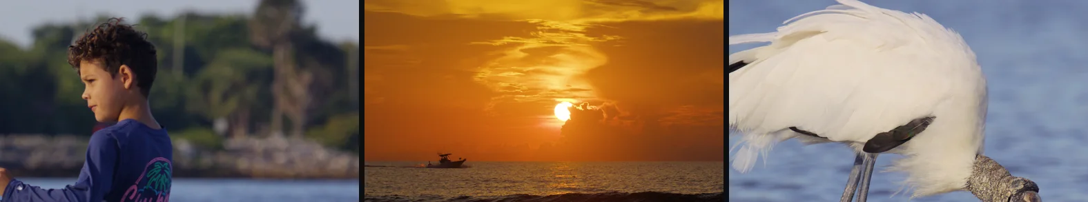 The same three scenes through the Travel look, golden and richer.